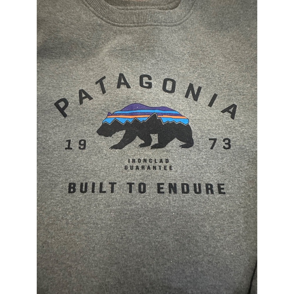 Patagonia Gray Sweatshirt with Black and Blue Bear Design - Picture 4 of 7